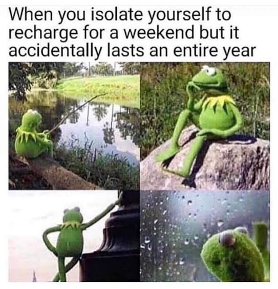 Thoughtful Kermit meme "when you isolate yourself to recharge for a weekend but it accidentally lasts an entire year"