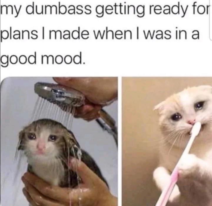 cat getting a shower and looking miserable with text about getting ready for plans he regrets making.
