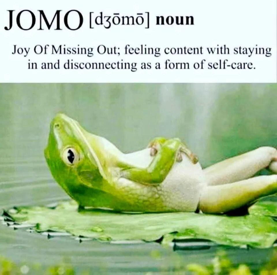 frog reclining on his back looking pleased with text: JOMO: joy of missing out