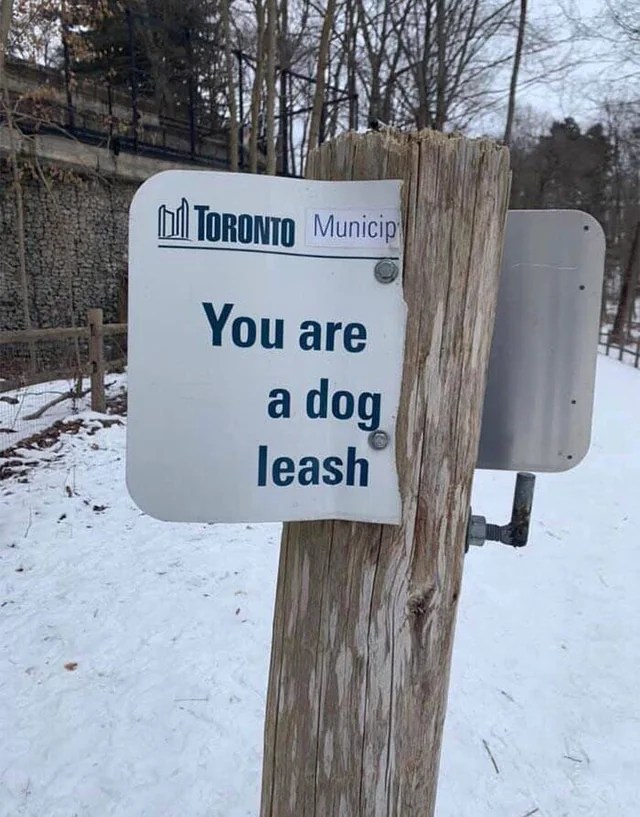 sign in Toronto that has been ripped in half, so it says "you are a dog leash."
