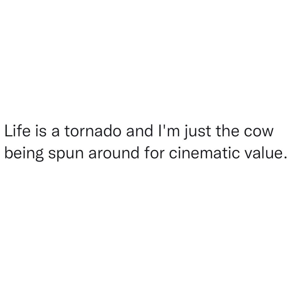 meme says "life is a tornado and I'm just the cow being spun around for cinematic value"
