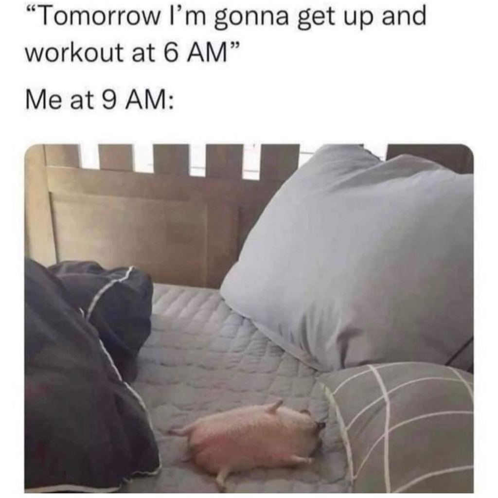 "Tomorrow I'm gonna get up and workout at 6 AM."
Me at 9 AM:
picture of a fat hedgehog lying flat on his back with legs in the air.