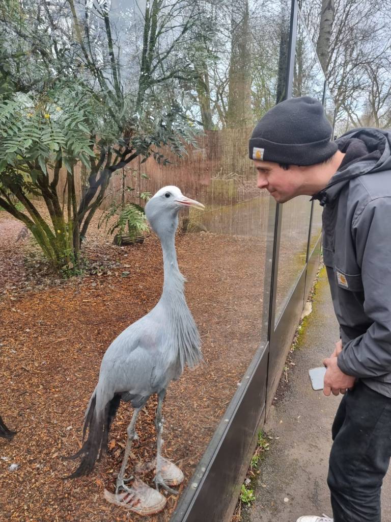 photo of a man looking at a crane. the glass between them reflects man's shoes, making it look like the crane is wearing hid shoes.