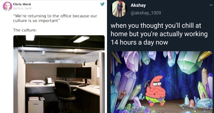 wfh-memes.jpg