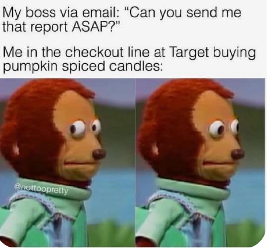 meme of side-eye puppet